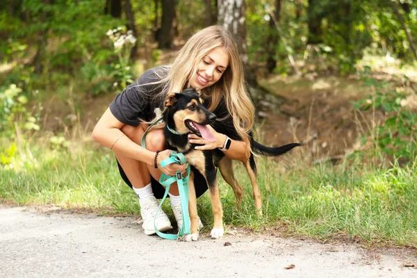 Pies do adopcji, Nowodwór, 30 lipca 2024 (5/5)