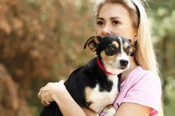 Pies do adopcji, Nowodwór, 30 lipca 2024 (3/5)