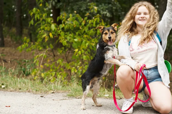 Pies do adopcji, Nowodwór, 8 sierpnia 2024 (4/5)