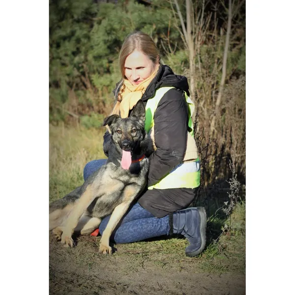 Znaleziono psa, Białystok, 8 sierpnia 2024 (4/4)