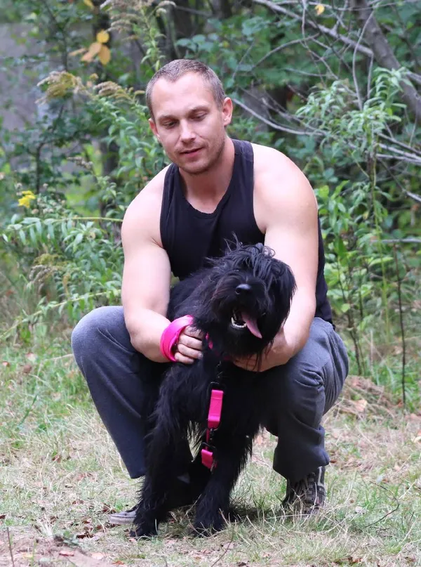 Znaleziono psa, Łódź, 15 sierpnia 2024 (4/5)