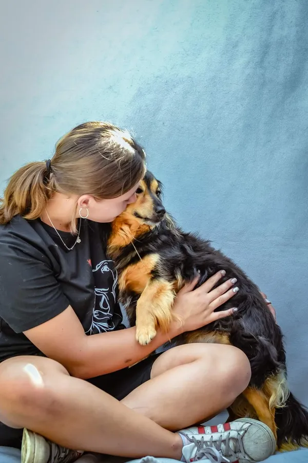 Pies do adopcji, Radom, 16 sierpnia 2024 (2/5)