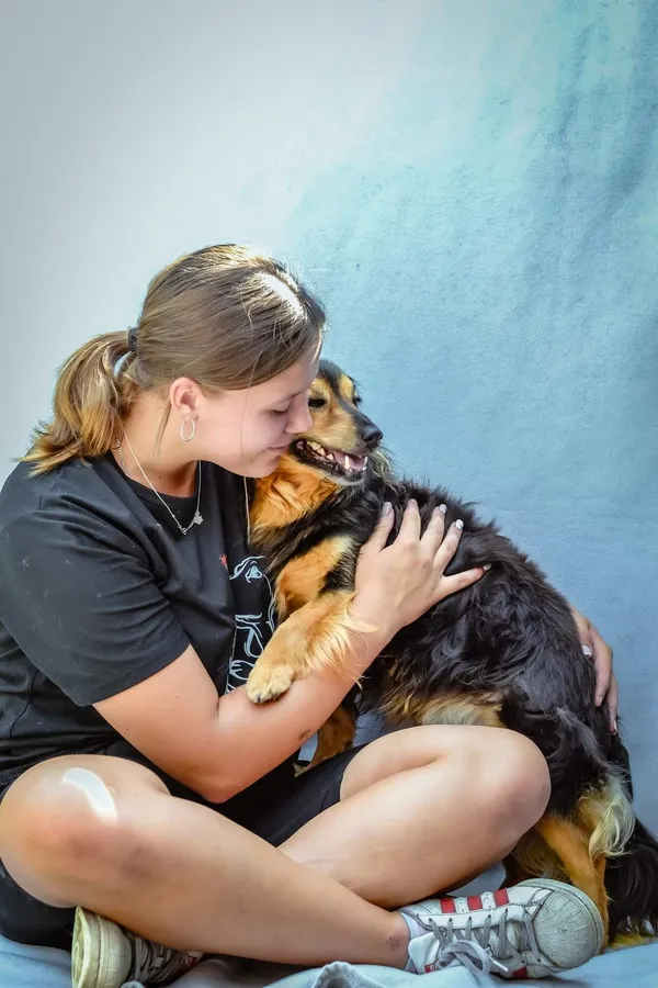 Pies do adopcji, Radom, 16 sierpnia 2024 (3/5)