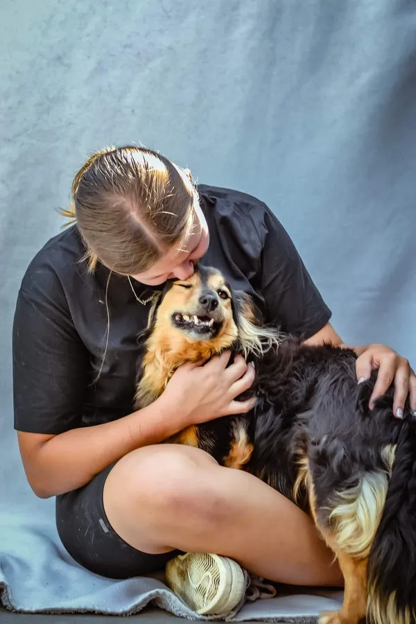 Pies do adopcji, Radom, 16 sierpnia 2024 (4/5)