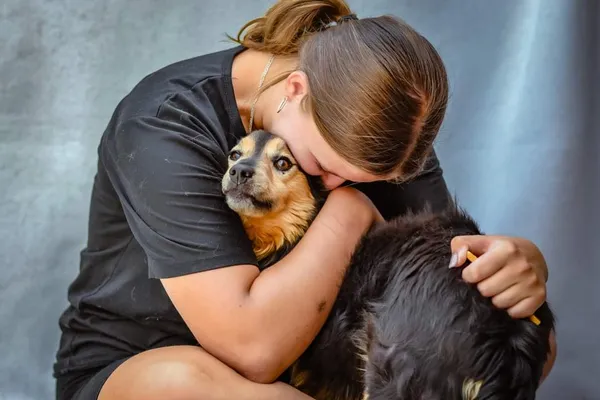 Pies do adopcji, Radom, 16 sierpnia 2024 (5/5)