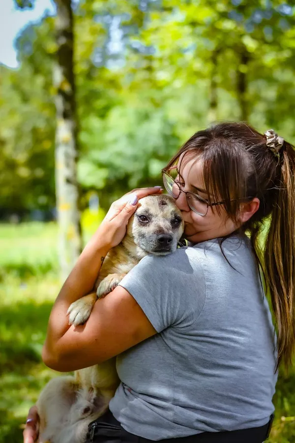 Pies do adopcji, Radom, 16 sierpnia 2024 (5/5)