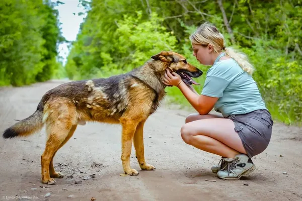Pies do adopcji, Radom, 16 sierpnia 2024 (5/5)