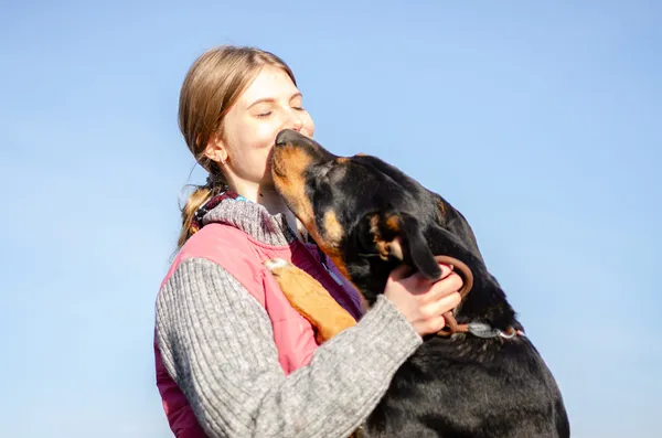 Oddam psa, Elbląg, Dolinka, 19 sierpnia 2024 (2/4)