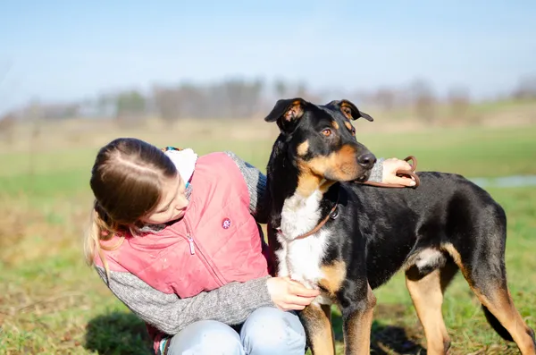 Oddam psa, Elbląg, Dolinka, 19 sierpnia 2024 (4/4)
