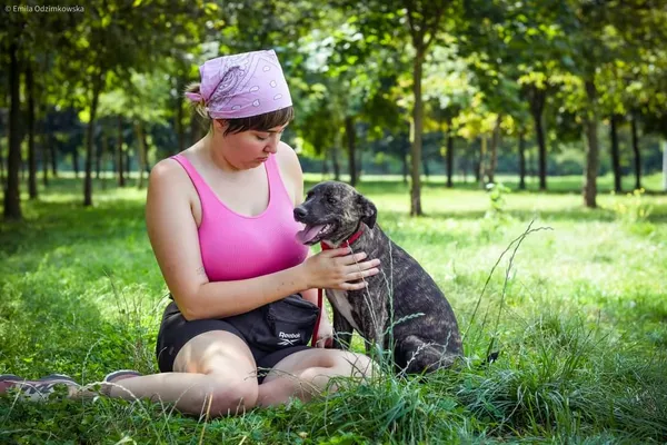 Pies do adopcji, Radom, 23 sierpnia 2024 (4/5)