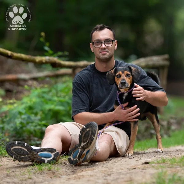 Pies do adopcji, Gdynia, 22 sierpnia 2024 (4/4)