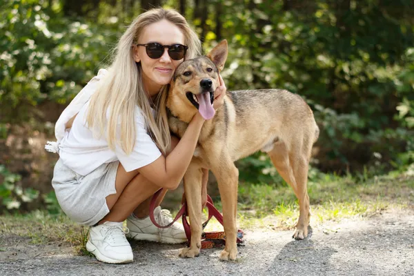 Pies do adopcji, Nowodwór, 29 sierpnia 2024 (3/5)