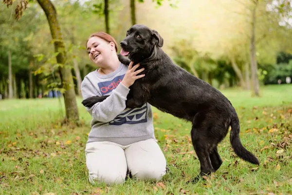 Pies do adopcji, Radom, 24 września 2025 (3/5)