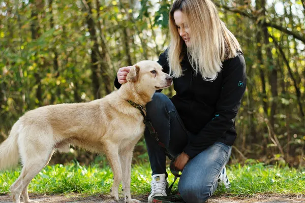 Pies do adopcji, Nowodwór, 21 października 2024 (1/5)