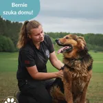 Znaleziono psa