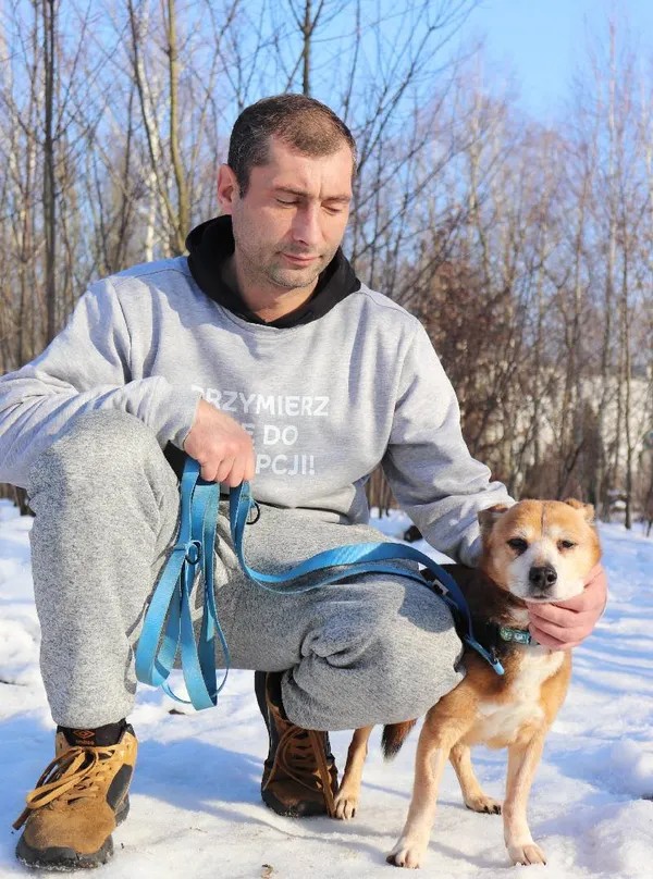 Znaleziono psa, Łódź, 2 grudnia 2024 (5/5)