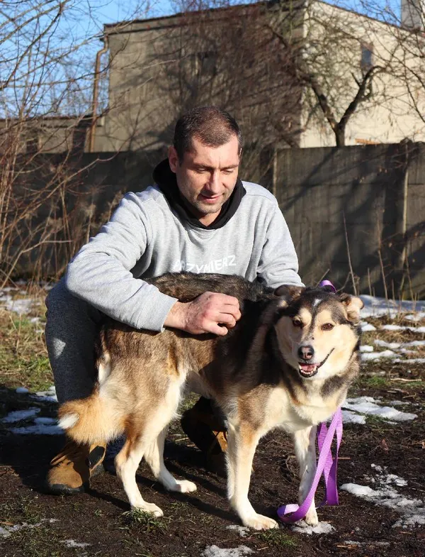 Znaleziono psa, Łódź, 21 grudnia 2024 (3/5)