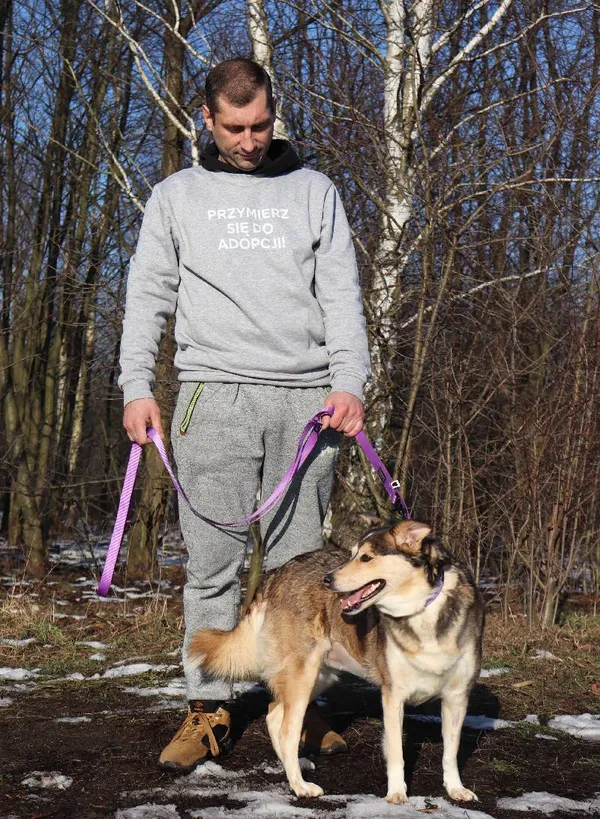 Znaleziono psa, Łódź, 21 grudnia 2024 (5/5)