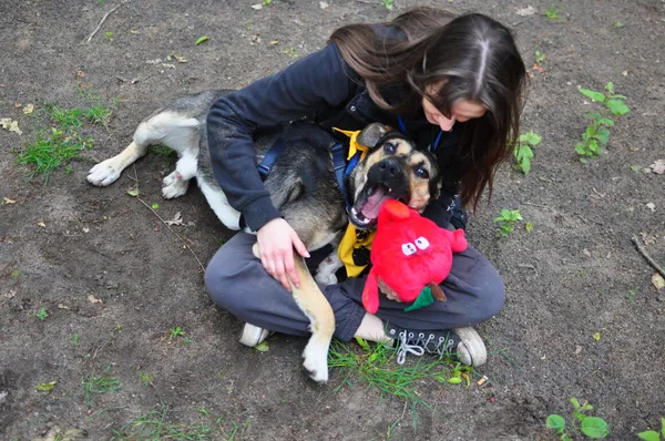 Pies do adopcji, Milanówek, 30 maja 2025 (2/5)