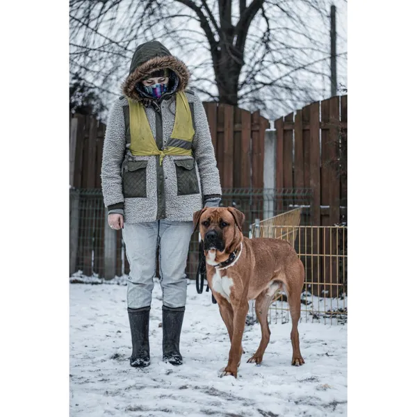 Znaleziono psa, Białystok, 2 grudnia 2024 (4/4)