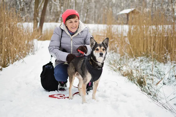 Znaleziono psa, Sosnowiec, 22 grudnia 2024 (1/5)