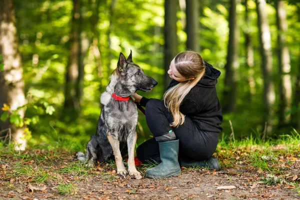 Pies do adopcji, Elbląg, 9 października 2024 (2/5)