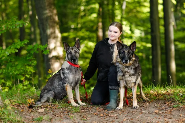 Pies do adopcji, Elbląg, 9 października 2024 (5/5)