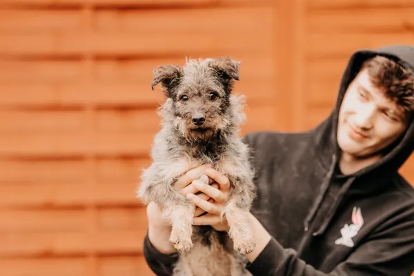 Pies do adopcji, Czartki, 3 stycznia 2025 (1/5)