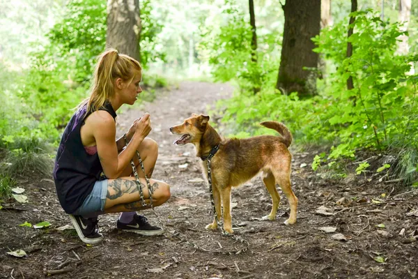 Znaleziono psa, Sosnowiec, 1 stycznia 2025 (3/5)
