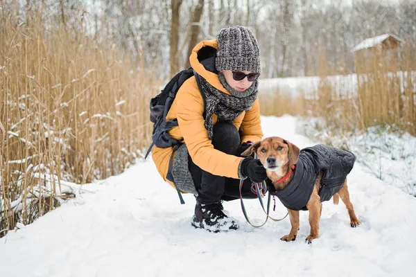 Znaleziono psa, Sosnowiec, 26 grudnia 2024 (4/5)