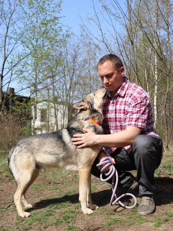 Znaleziono psa, Łódź, 16 stycznia 2025 (5/5)