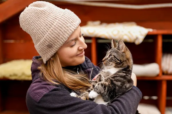 Kot do adopcji, Elbląg, 5 grudnia 2024 (4/5)