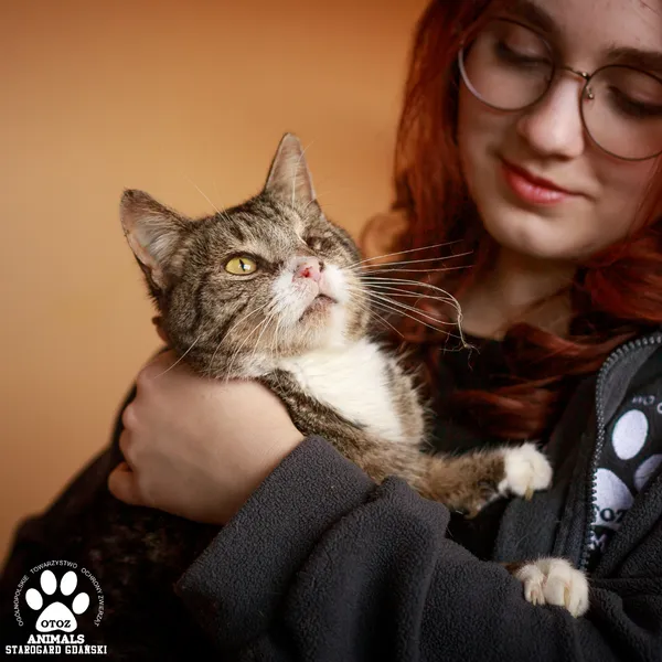 Pies do adopcji, Starogard Gdański, 30 września 2025 (3/3)