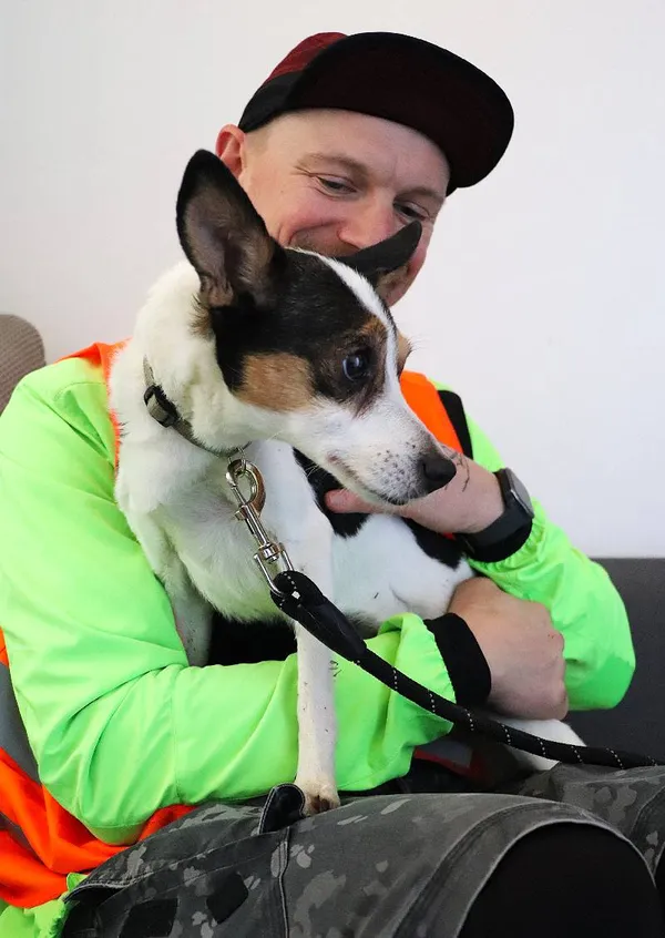 Znaleziono psa, Łódź, 25 stycznia 2025 (4/5)