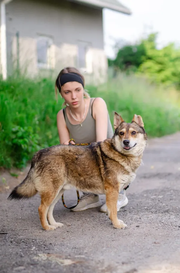 Oddam psa, Sopot, Wielki Kack, 27 stycznia 2025 (4/5)