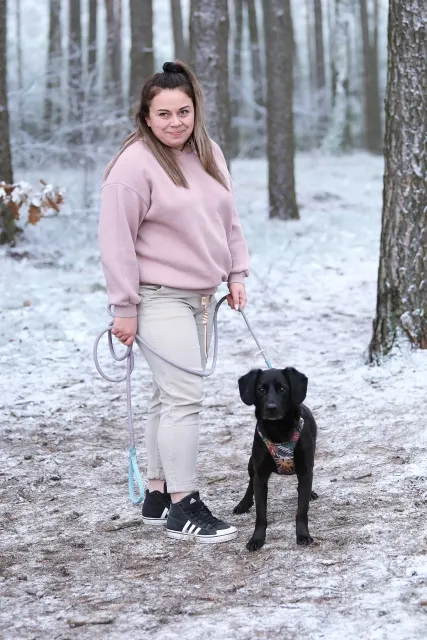 Pies do adopcji, Piła, 28 lipca 2024 (2/4)