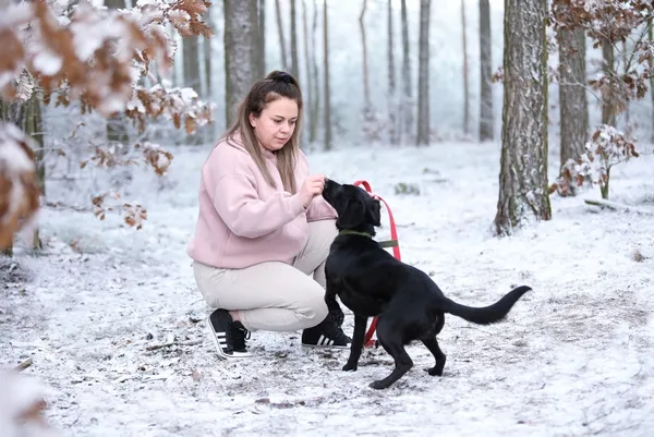 Pies do adopcji, Piła, 8 czerwca 2024 (3/3)