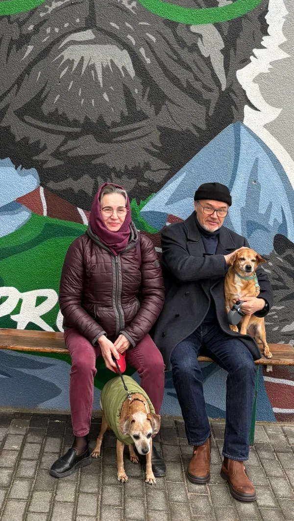 Pies do adopcji, Gdańsk, 30 stycznia 2025