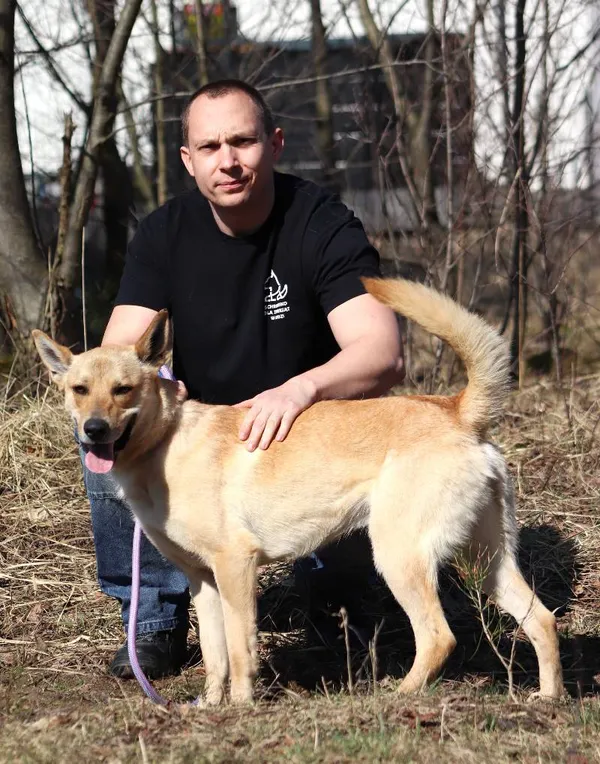 Znaleziono psa, Łódź, 29 stycznia 2025 (5/5)