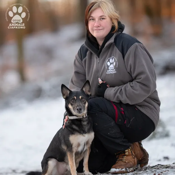 Pies do adopcji, Gdynia, 31 stycznia 2025 (3/4)