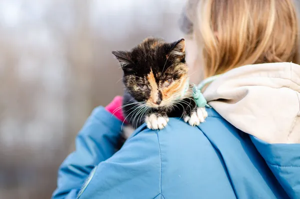 Oddam kota, Słupsk, Ryczewo, 1 lutego 2025 (3/5)