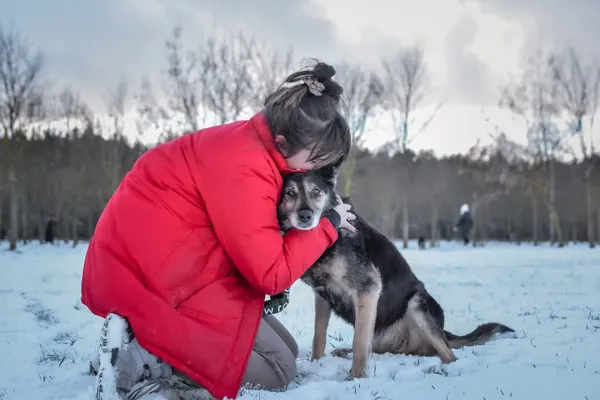 Pies do adopcji, Radom, 2 lutego 2025 (4/5)