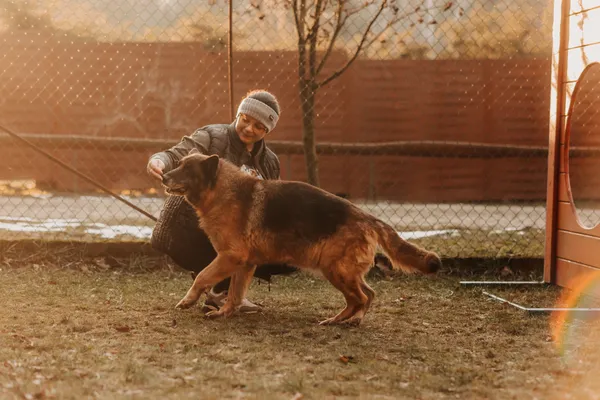 Pies do adopcji, Czartki, 3 lutego 2025 (3/5)