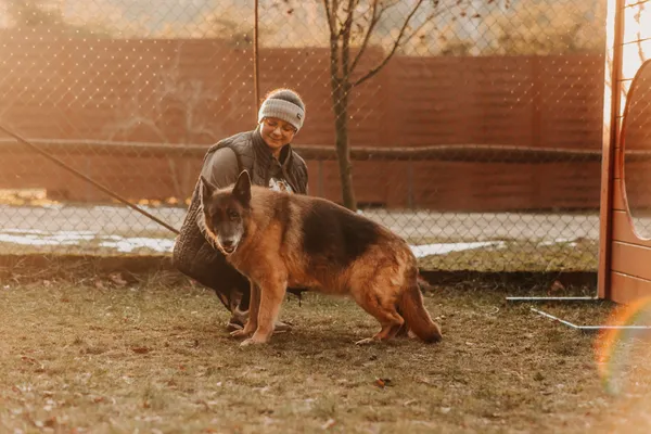 Pies do adopcji, Czartki, 3 lutego 2025 (4/5)