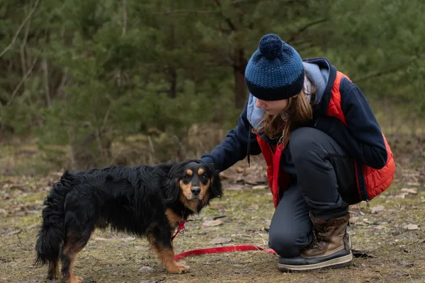 Pies do adopcji, Nowodwór, 3 lutego 2025 (5/5)