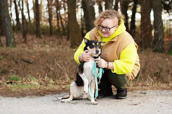 Pies do adopcji, Nowodwór, 3 lutego 2025 (3/5)