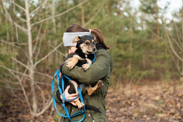 Pies do adopcji, Nowodwór, 3 lutego 2025 (4/5)