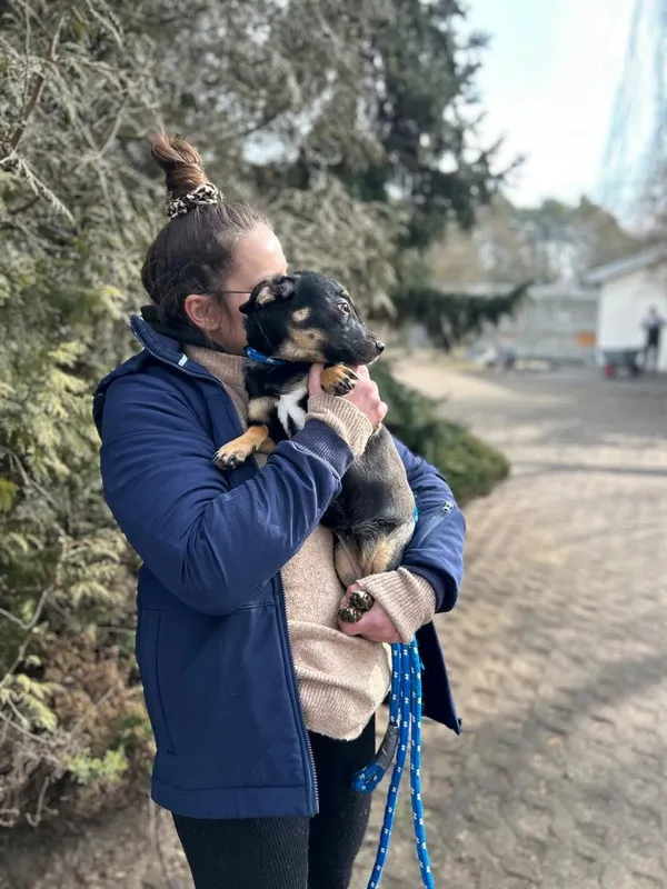 Pies do adopcji, Radom, 26 lutego 2025 (4/5)