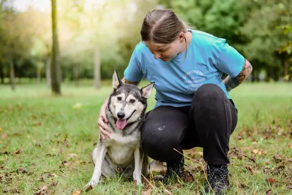Pies do adopcji, Radom, 29 września 2025 (3/5)