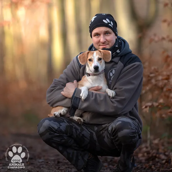 Pies do adopcji, Gdynia, 6 lutego 2025 (4/4)